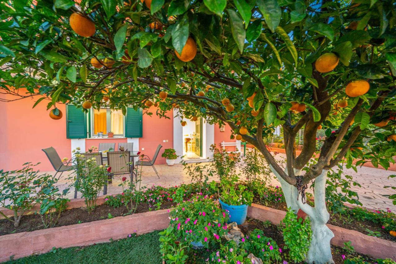 Appartement Artemis Superb 2 Bedroom 700 M Away From The Minia