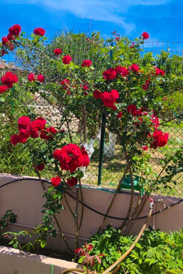 Artemis Superb 2 Bedroom 700 M Away From The * Minia