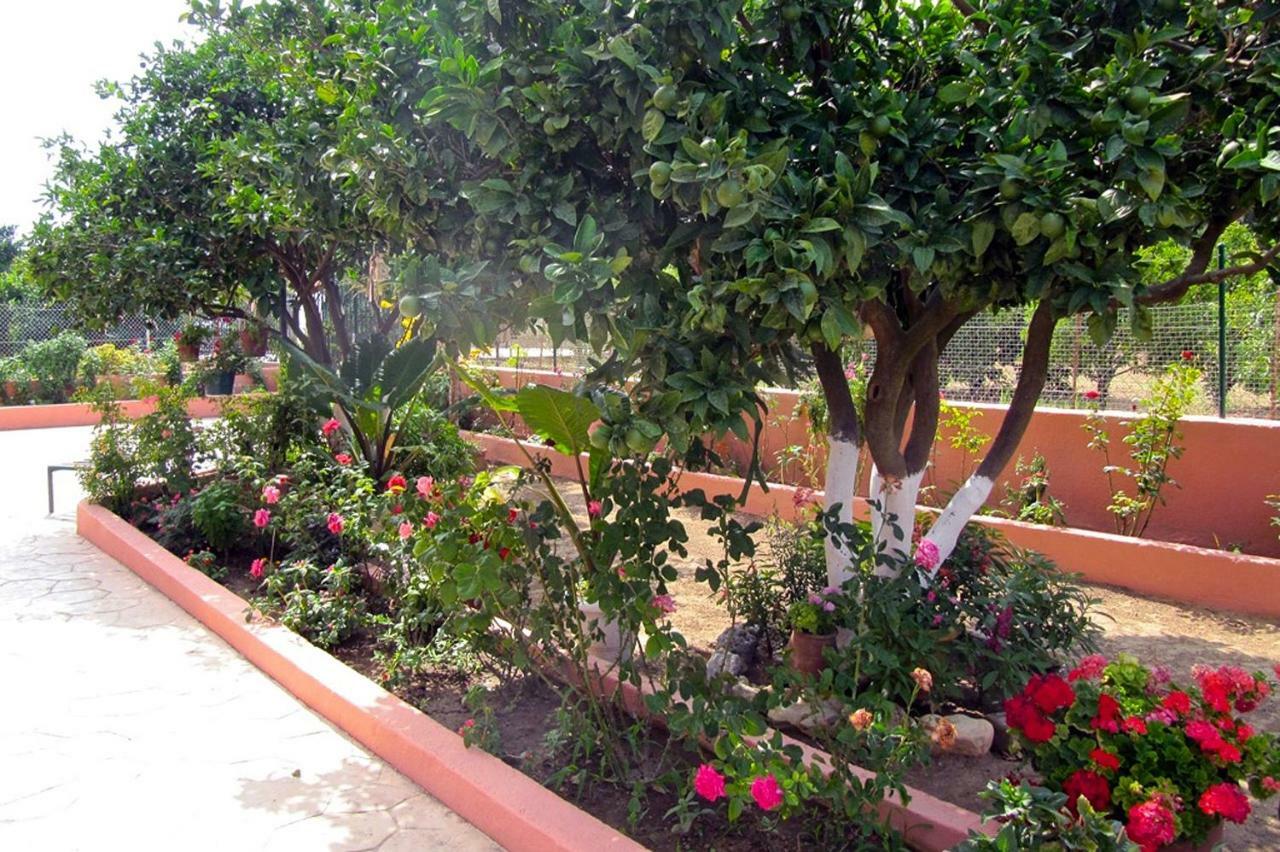 Appartement Artemis Superb 2 Bedroom 700 M Away From The Minia