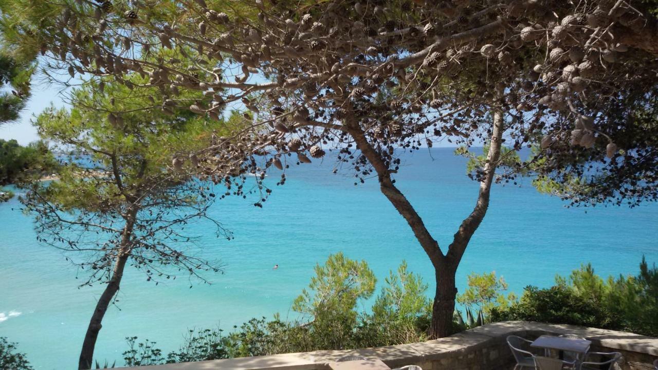 Artemis Superb 2 Bedroom 700 M Away From The