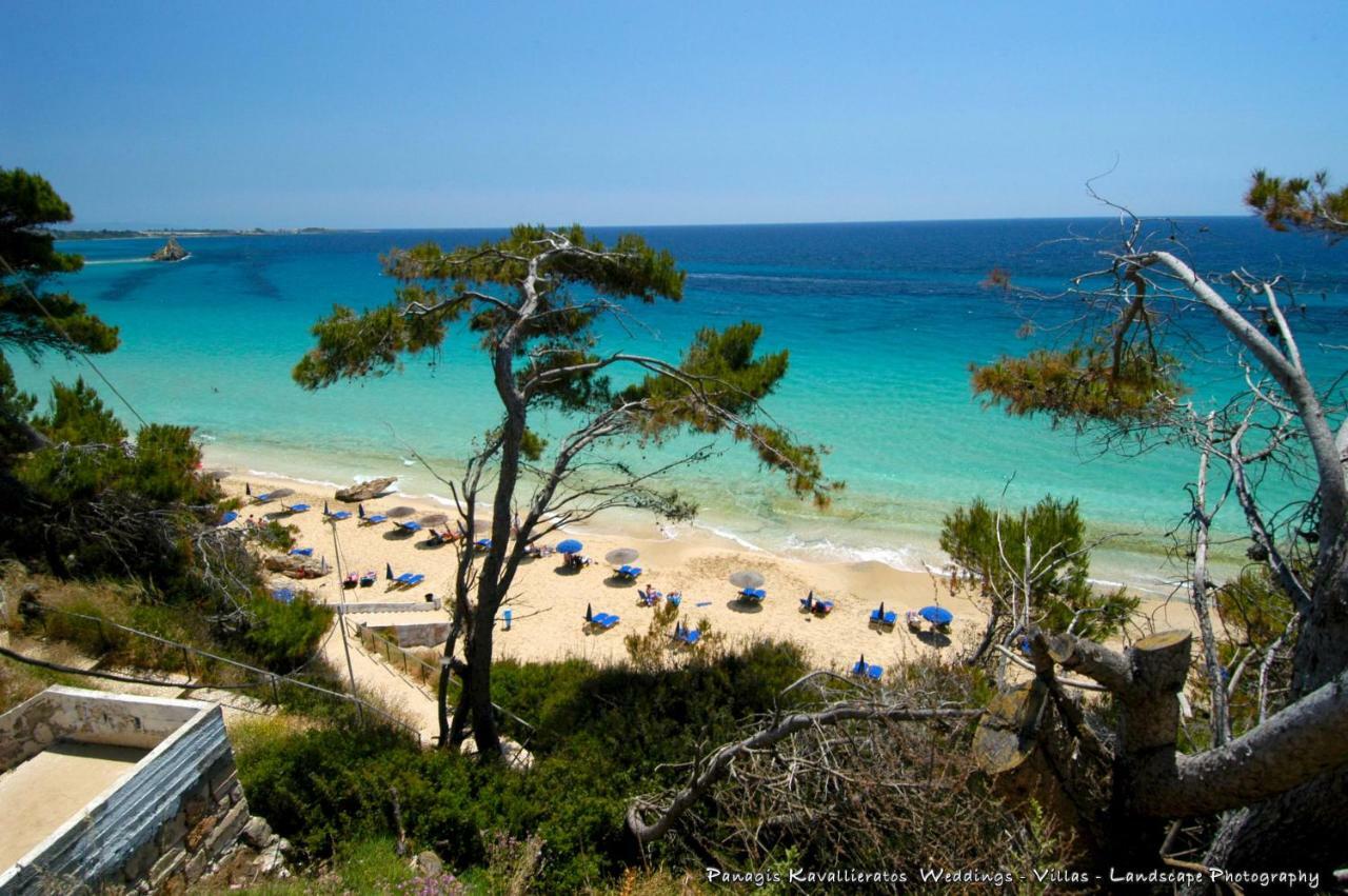 Appartement Artemis Superb 2 Bedroom 700 M Away From The *